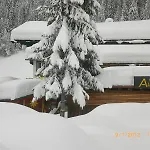 Haus Alpina Oda ve Kahvaltı Werfenweng