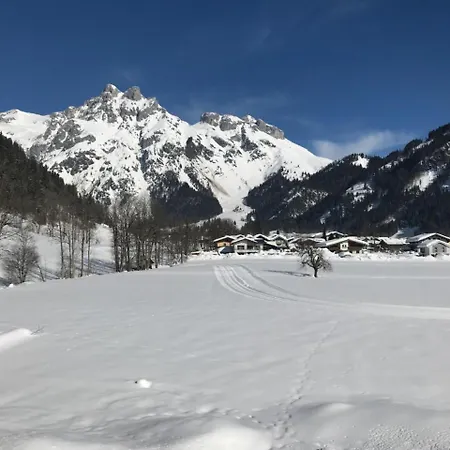 Haus Alpina 3*